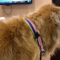 検査結果が出るまでいい子で待機