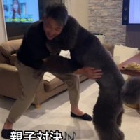 本当のお相撲さんのよう