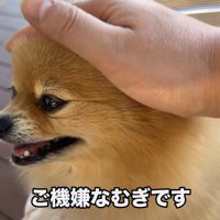ご満悦の表情が可愛い♡
