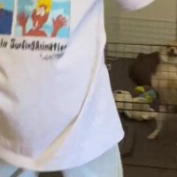 ぱんちちゃんの可愛い特技