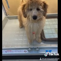 3万円という破格に…