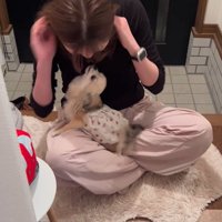 こはくちゃんとお姉ちゃんの再会3