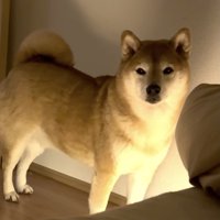 幹雄くん、ハグを懇願される