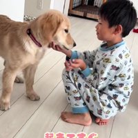 すぐにルカちゃんの元へ