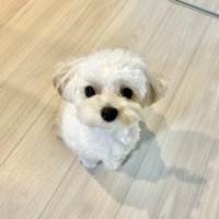 見上げる