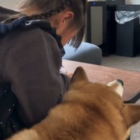 女の子の横に並ぶ犬