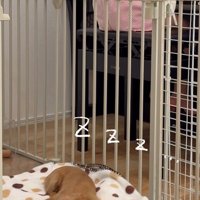 いい夢を見られそう♡