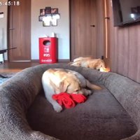 投稿主さんのジャージ！！