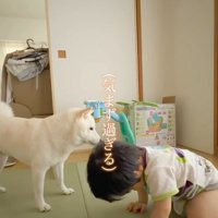 おまめちゃんと赤ちゃん3