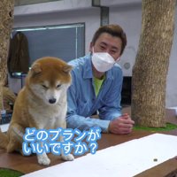 プランを問われると…