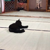 リラックス中の天くん