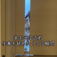 つくねちゃんが登場