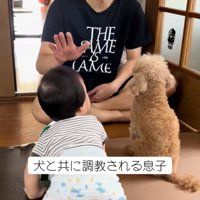 ハイハイする息子さん