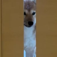 仕事をやめたくなっちゃった！？