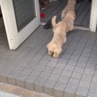 大急ぎで家の中へ