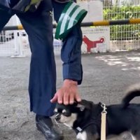 作業員さんがなでなで♡