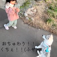 おすわりするブル君