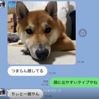 退屈そうなふうたくん