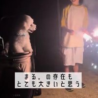 まるちゃんの存在は大きい