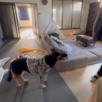 出勤する日の朝はソワソワ…