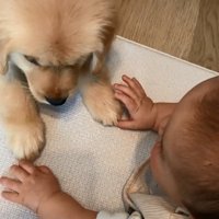 向かい合うあしゅちゃんと赤ちゃん