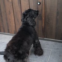 弟さんの家に到着