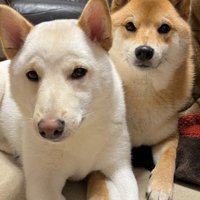 仲良しで可愛い♡