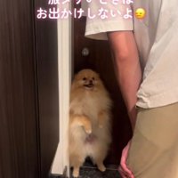 まるで人間！？