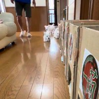 ユニークなチャレンジ♪