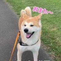 ドッグランは楽しい♪