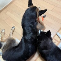 いつも一緒に…