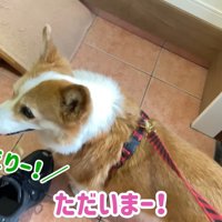 帰宅したら、お姉ちゃんの声が！