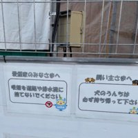 工事現場で見つけたのは…