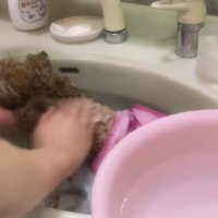 可愛すぎるモデルにホッコリ