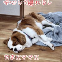 通路で眠るだいちくん