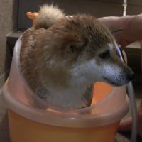 「もう終わりにしません？」