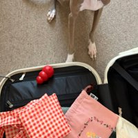 おもちゃを入れたプット