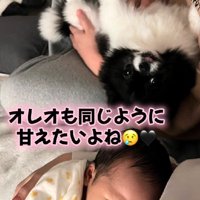 甘えたいときもあるけど…