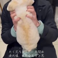 お兄ちゃんに会えてよかったね