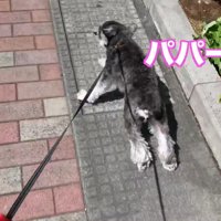 気付いた瞬間に全力ダッシュ！