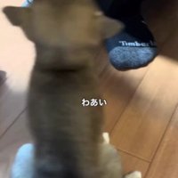 おかえり～！！