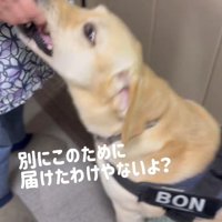 仕事のあとの報酬は美味しい♡