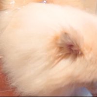 あっさり通り抜けてしまいました