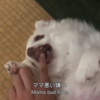 「許せない！噛みついてやる～っ」