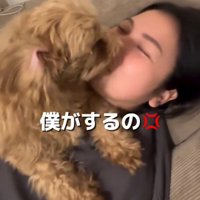 横になっている女性の口を舐める犬