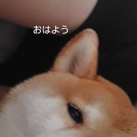 目覚めの瞬間も添い寝