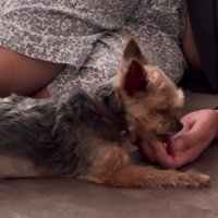 スキンシップを大切にしてます