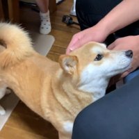 甘えん坊で可愛い♡
