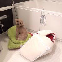 切ない表情…
