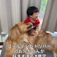 優しく見守るピノくん